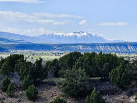 24  Spring Creek Dr MLS #2121130