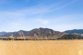 1565 W Sunflower Ln MLS #2123374