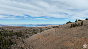 1000 N Laketown Canyon Rd MLS #2124339