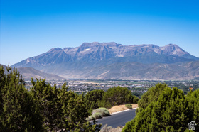 556 N Ibapah Peak Dr MLS #2124484