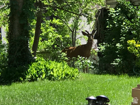 2113 E Fardown Ave MLS #2124945