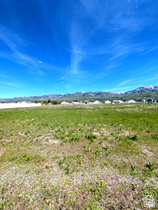 567 S Canyon MLS #2125353