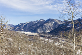 11708  Canyon Rim Rd MLS #2127208