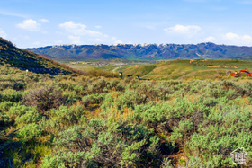2562 E Canyon Gate Rd MLS #2127304