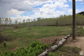 5292 N Larkspur Rd MLS #2127363