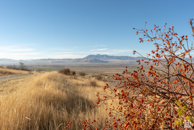 Address Not Available MLS #2127584