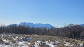 2173 N Westward Ho Rd MLS #2127948