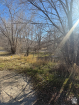 127  Ivy St MLS #2128494