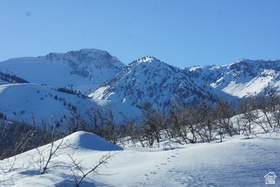 2265 E Lauren Ln MLS #2128826