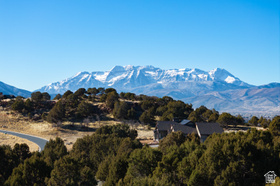 3166 E Horse Mountain Cir MLS #2129097