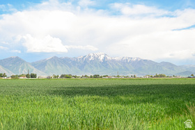 3445 W 5200 S MLS #2130060