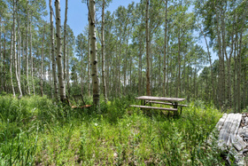 2086 W Bright Star Rd MLS #2130357