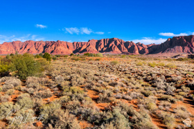 1312  Willow Way 1 MLS #2130487