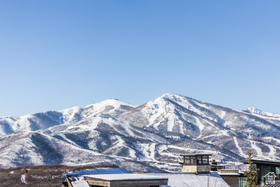 1878 E Dancing Sun Dr MLS #2130672