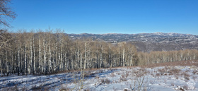 Address Not Available MLS #2130881