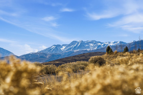 2654 N River Dr MLS #2131811