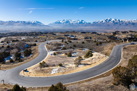 1381 N Monroe Peak MLS #2132291