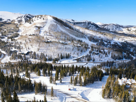 207  White Pine Canyon Rd MLS #2132571