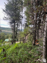 415 E Matterhorn Dr. MLS #2132623