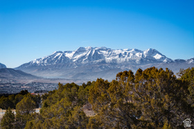 2898 E La Sal Peak Dr MLS #2133330