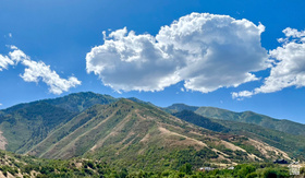 2056 E Maple Hills Ln MLS #2134266