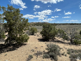 Address Not Available MLS #2136233
