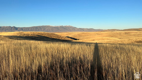 255 W Mail Route Rd MLS #2136581
