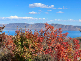 950 S Boosway Cir MLS #2136620