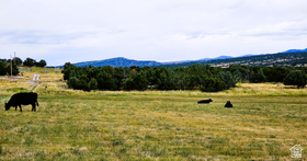 7  Juniper Flds MLS #2136775