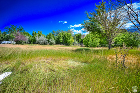 847 E Willow Springs Ln MLS #2137014