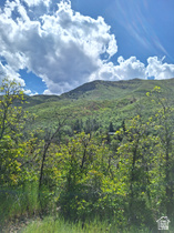 4810 E Badger Hollow Ln MLS #2137046