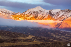 15574 S Mercer Ct MLS #2137281