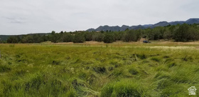 2835 E 2200 S MLS #2138139