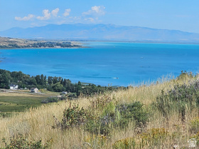 1334 N Broad Hollow Rd MLS #2138249