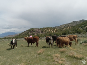 County Road 28 MLS #2138702