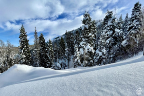 7092  Canyon Dr MLS #2138806