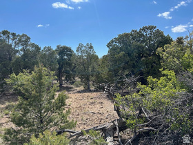 Address Not Available MLS #2138827