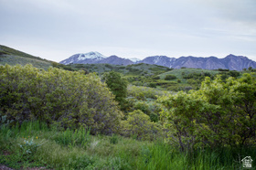 15 E Three Falls Rdg MLS #2138876