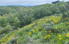 6000 E Old Snowbasin Rd MLS #2138995