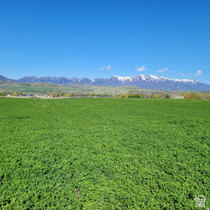 377 E 8900 S MLS #2139355