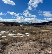 686 W Deer Rd MLS #2139886