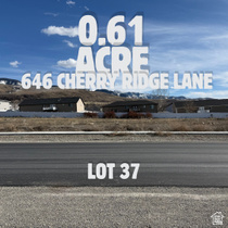 646  Cherry Ridge Ln MLS #2140067