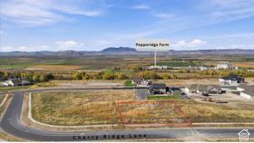 663  Cherry Ridge Ln MLS #2140069