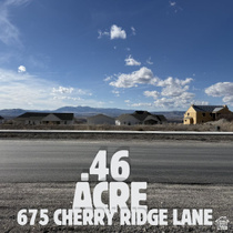 675  Cherry Ridge Ln MLS #2140072