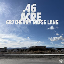 687 N Cherry Ridge Ln MLS #2140078