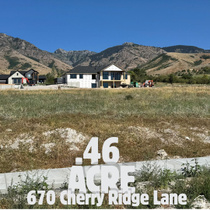 670  Cherry Ridge Ln MLS #2140082