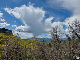 9395 E Ridge Pine Rd MLS #2140435