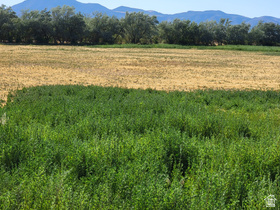 14900 S 11130 W MLS #2140460