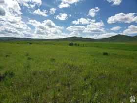 1844  Lower Bern Rd MLS #2140902