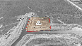 290 E Lucille Ln #6 MLS #2141098